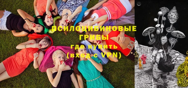 МДМА Новозыбков