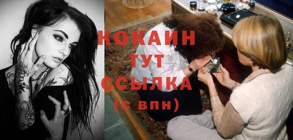 мет Новодвинск