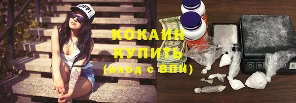 шишки Новокубанск