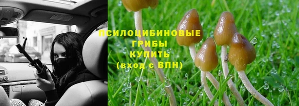 PSILOCYBIN Дмитровск