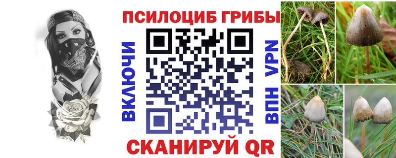 Галлюциногенные грибы MAGIC MUSHROOMS  Нарьян-Мар 