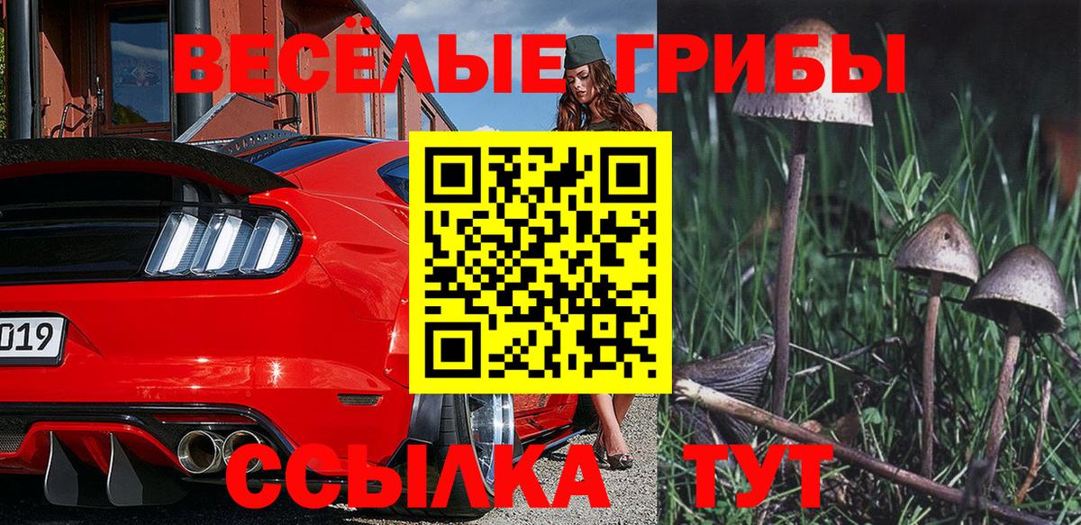 Псилоцибиновые грибы GOLDEN TEACHER  Вход с VPN  Нарьян-Мар 