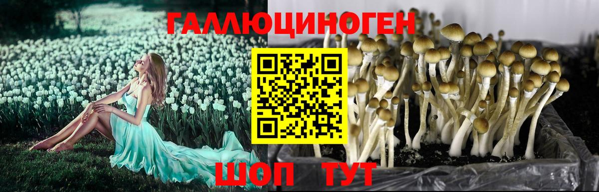 Галлюциногенные грибы мухоморы Нарьян-Мар